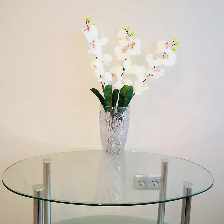 Carpe Diem Apartment